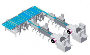 Автоматическая упаковочная линия FSM-Flow-Pack